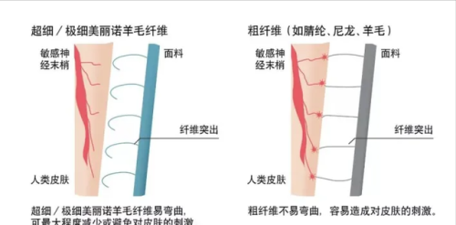 挪威衣服销量排名前十(挪威企业排名)插图7