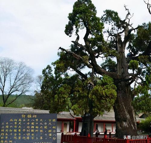 中国排名前十风景树(中国最美山水排行榜)插图