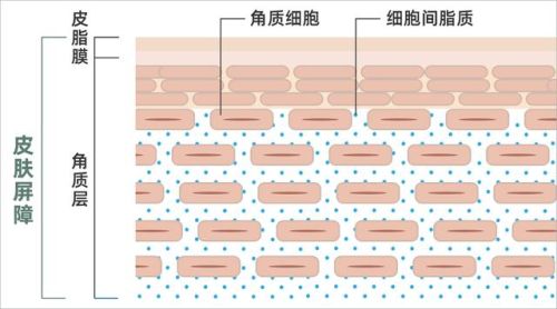 卸妆产品推荐排名前十(十大卸妆产品排行榜)插图16