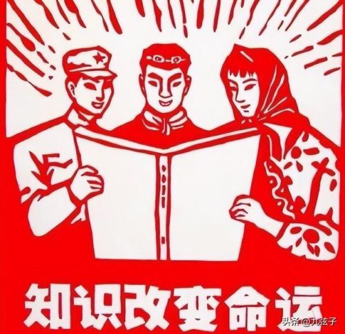 楚雄州首富排行榜(楚雄最大的老板)插图3