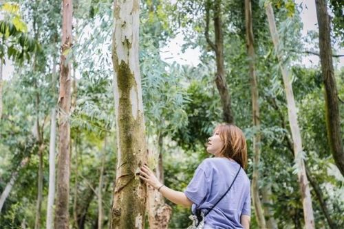 深圳好玩瀑布排名前十(深圳适合一日游的景点推荐)插图42