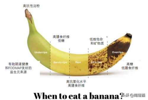 全球厨师图表排名前十(世界国家排名前十位的)插图7