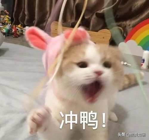 安徽泡澡酒店排名前十(滁州泡澡哪里比较好)插图