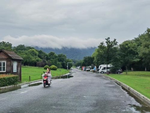 南京最美草原排名前十(草原排名)插图26