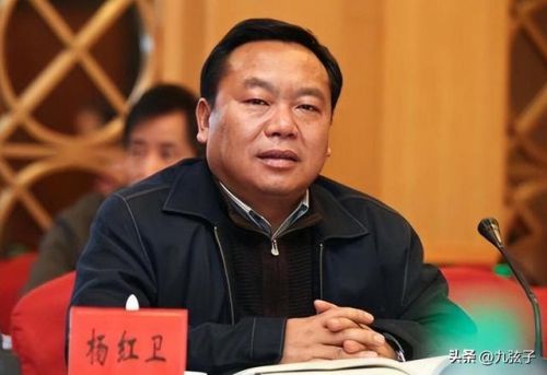楚雄州首富排行榜(楚雄最大的老板)插图5
