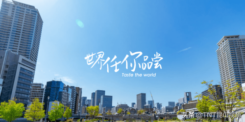 松仁排行榜(雪松仁和红松仁哪个好)插图