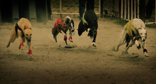 剧组排行榜(剧组地位最高的)插图16 剧组排行榜(剧组地位最高的)插图16