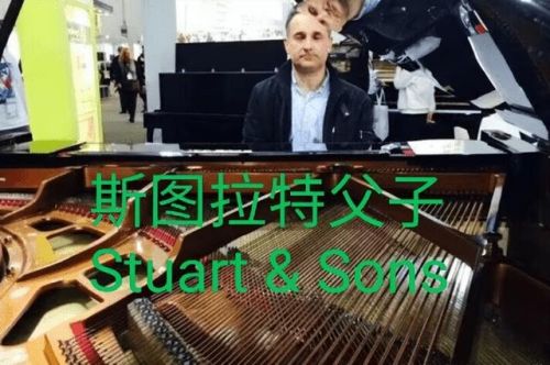 全球顶级风琴排名前十(世界顶级医院排名)插图27
