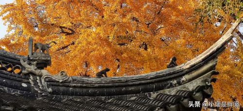 苏州寺庙古迹排名前十(苏州文殊寺)插图21
