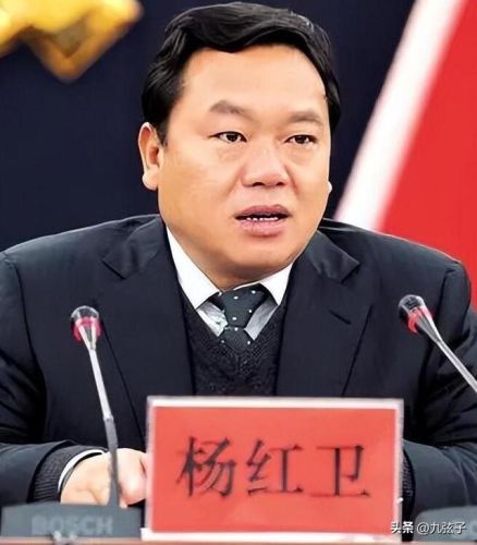 楚雄州首富排行榜(楚雄最大的老板)插图