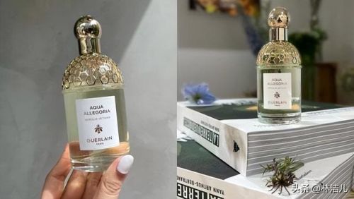 悉尼名牌香水排名前十(香水排名最好用的都有什么)插图5