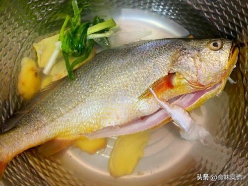 最好吃的海鱼排行榜(海鱼排行榜前十名)插图13