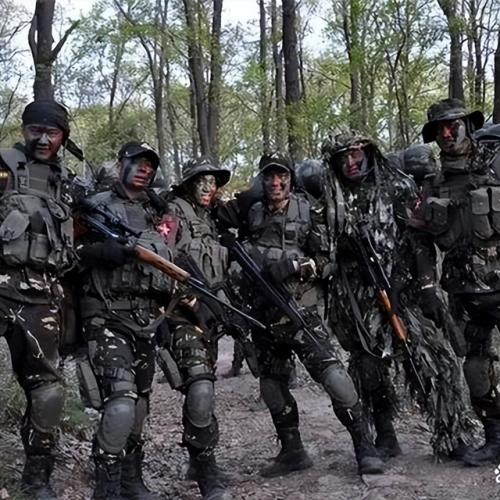 中国特种兵排行榜(世界十大顶级特种部队)插图1
