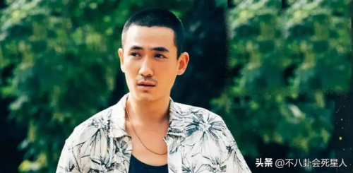 国内中年男演员排行榜(内地中年男演员大全)插图11