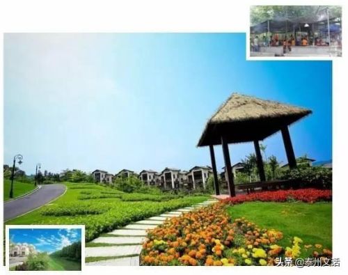 山东泰州烧烤排名前十(泰州有烧烤设备卖吗)