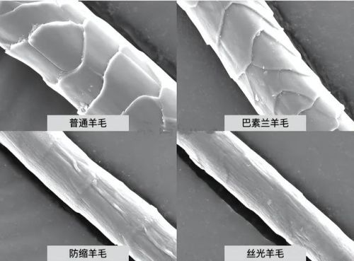 挪威衣服销量排名前十(挪威企业排名)插图11