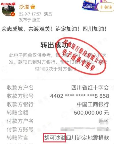 四川地震明星捐款排行榜(汶川地震捐款一亿的人)插图18