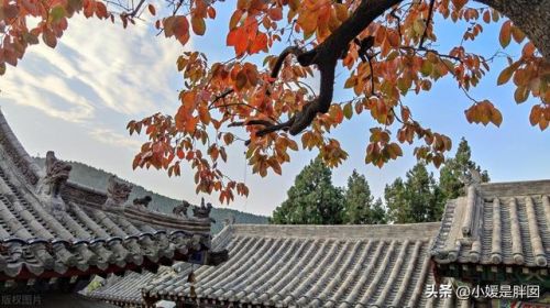 苏州寺庙古迹排名前十(苏州文殊寺)插图32