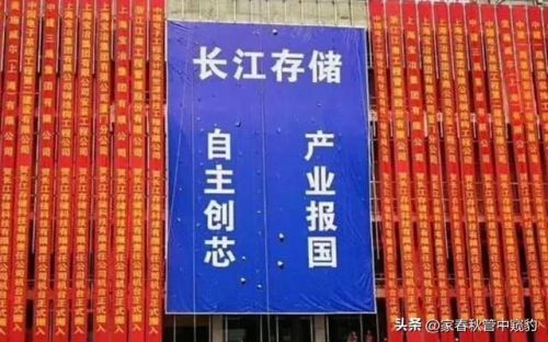 储存排行榜(存储十大排名)插图1 储存排行榜(存储十大排名)插图1