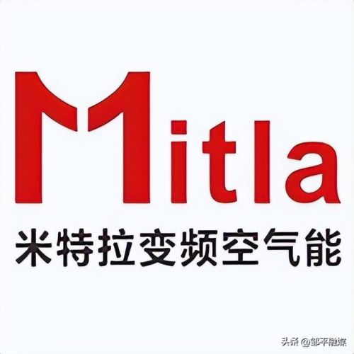 国内蒸汽汽车排名前十(汽车蒸汽消毒有用吗)