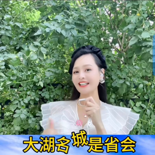 合肥车牌厂家排名前十(合肥和三县牌照区别)插图