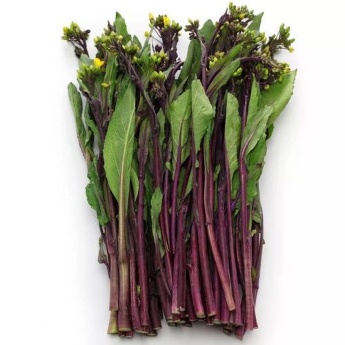 排名前十的疏菜(蔬菜排名第一)插图13