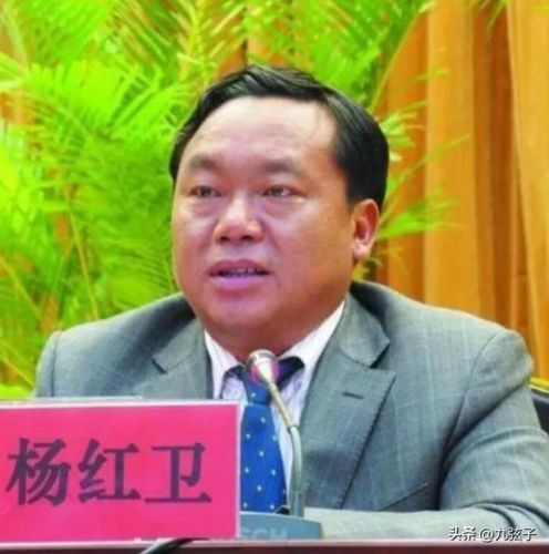 楚雄州首富排行榜(楚雄最大的老板)插图11