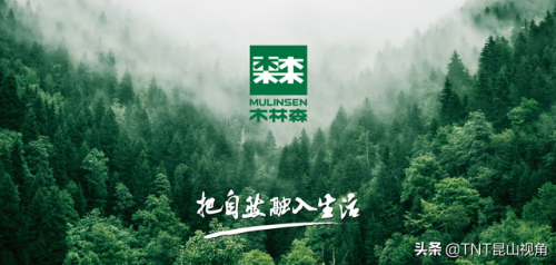 女休闲鞋品牌排行榜(女皮鞋哪个品牌质量好)插图9