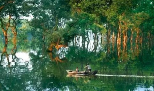 江西怀旧景区排名前十(江西五a景区有哪些)插图64