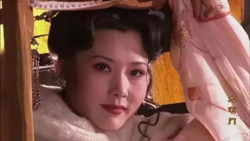 家庭生活电视剧排行榜(十大公认最好看的家庭剧)插图65