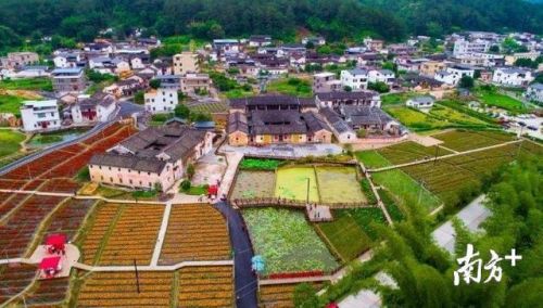 广东粤北农庄排名前十(广东农庄的鹅怎么做)插图2