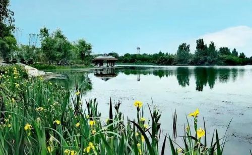 成都冷门景点排名前十(成都哪里好玩的景点)插图10