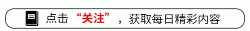 网红收入排行榜2017(福布斯明星收入排行榜)插图