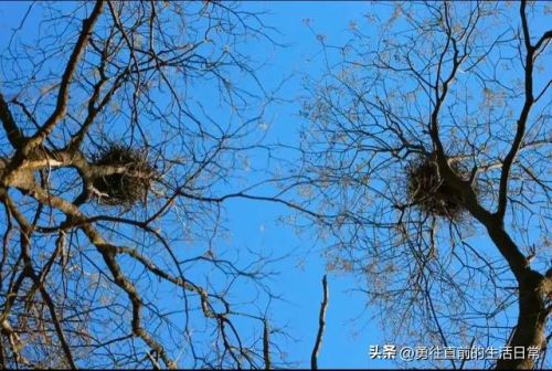 灯光风水大师排名前十(灯光与风水的结合)插图14