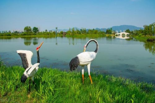 富阳游乐景点排名前十(富阳景区旅游景点有几个)插图2
