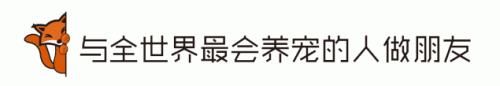 天然进口猫粮排行榜(十大品牌猫粮)插图