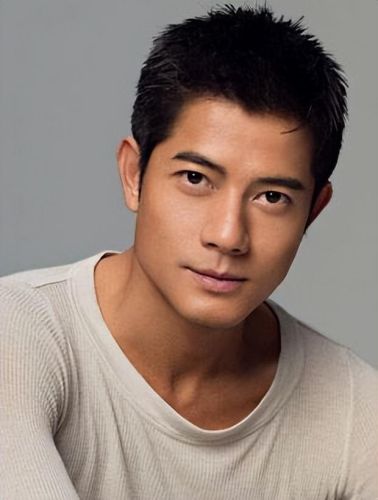 香港知名男演员排行榜(tvb男演员大全(各种脸熟))插图9