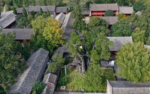郑州好玩的景点排行榜(郑州市区必去景点排名)插图17