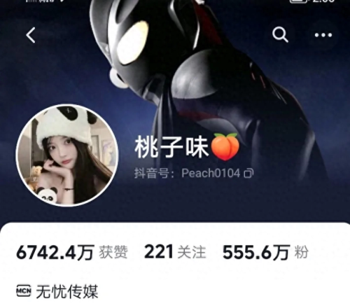 网红收入排行榜2017(福布斯明星收入排行榜)插图34