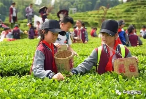 恩施宣恩小学排名前十(恩施市公立小学哪个好)插图10