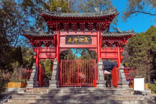 郑州好玩的景点排行榜(郑州市区必去景点排名)插图15