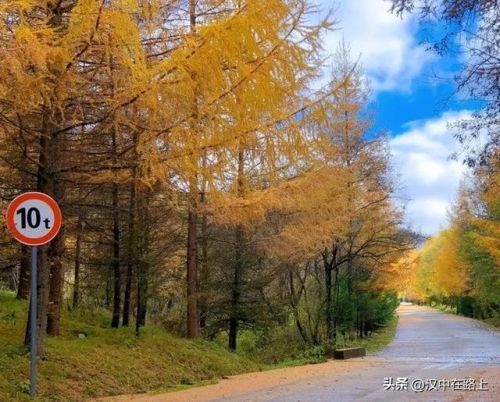 汉中便宜景区排名前十(汉中景区哪些景点好)插图13