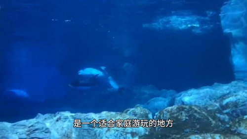 珠海旅游景点排行榜(珠海景点门票价格)插图