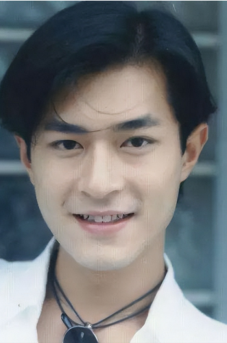 香港知名男演员排行榜(tvb男演员大全(各种脸熟))插图19