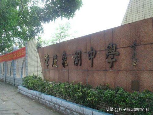 广宁镇中学排名前十(广宁第一中学是重点学校吗)插图6