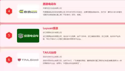2013十大电动车品牌(中国十大电动车排名)插图6
