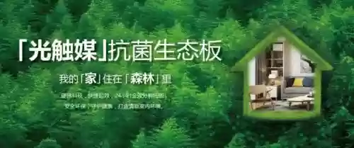 2016十大板材品牌(十大板材排名有哪些品牌)插图15