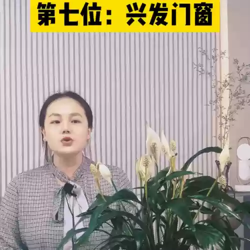 2016十大门窗品牌(一线品牌门窗排名)