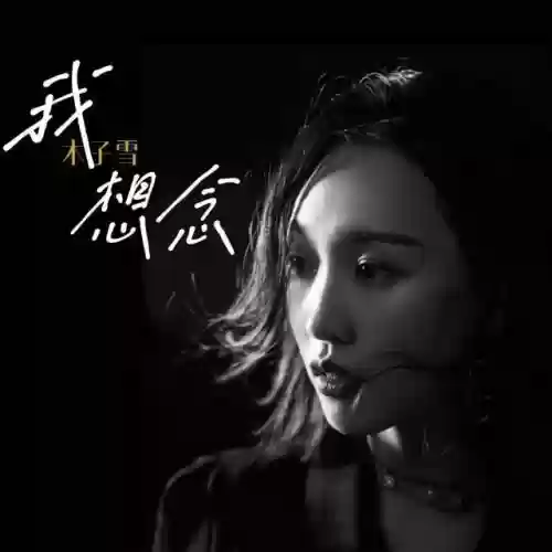 2020十大快手歌曲(快手最火的歌曲排行榜)插图27