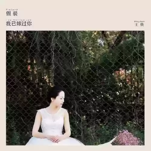 2020十大快手歌曲(快手最火的歌曲排行榜)插图28